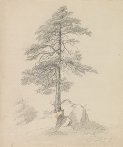 Dennen en kliffen door Johan Christian Dahl