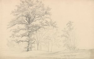  door Johan Christian Dahl