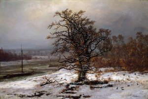 Winterlandschap met eik aan de oevers van de Elbe, Duitsland
