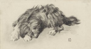 Slapende hond