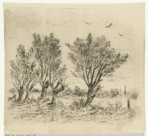 Wilgenrij door Johan Frederik Croockewit