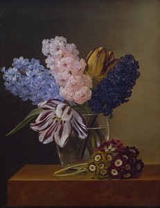 Tulpen, Hyacinten en Viooltjes