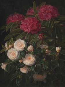 Camelia’s en rododendrons Door Johan Laurentz Jensen