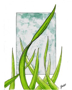 Frisse groene groei