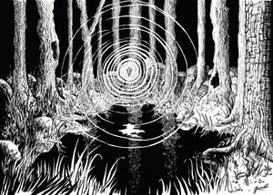 Mystieke bosgolven door Johan Liewendahl