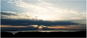 Aan zee