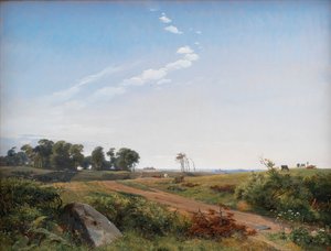 Landschap in Zeeland. Open land in Noord-Zeeland door Johan Lundbye