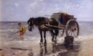 De schelpenverzamelaar