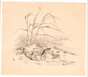 De gedode wilde eend. Illustratie voor Kaalunds "Fabler voor kinderen". Zie opmerking uit het archiefcatalogus. door Johan Thomas Lundbye