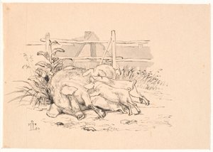 De Varkens