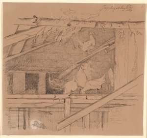 Kippen op een zolder