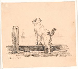 De hond op het strand. Illustratie voor Kaalunds 