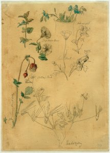 J. Th. Lundbye, plantenstudie door Johan Thomas Lundbye