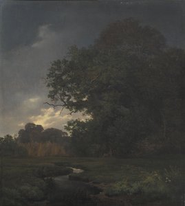 Landschap bij bewolkt weer. Late namiddag