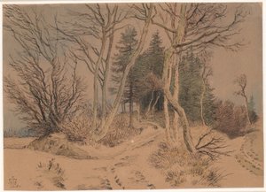 Met sneeuw bedekte wegen tussen sparren en kale bomen door Johan Thomas Lundbye