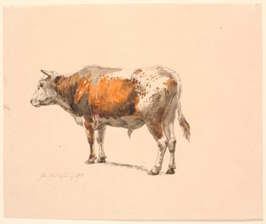 Staande Roodbonte Stier, naar Links Gekeken, Schuin van Achteren Gezien door Johan Thomas Lundbye