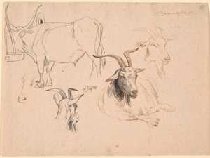Studie van een os en twee studies van geitenkoppen en een van een liggende geit door Johan Thomas Lundbye