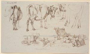 Studieblad van Vognserup. Bovenaan studies van koeien, onderaan landschap met staande en liggende koeien