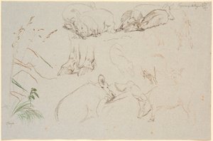 Studieblad van Vognserup. Verschillende studies van varkens. Een studie van een paar paardenhoeven. Een studie van een hondenkop en een studie van gras