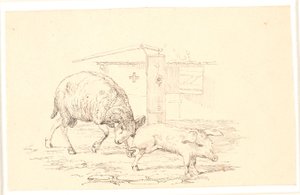De ram en het varken. Illustratie voor Kaalunds "Fabels voor kinderen". Zie opmerking uit het archiefcatalogus.