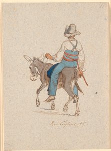 Ezelsrijder schuin van achteren gezien