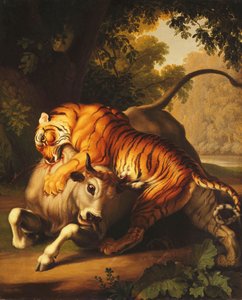 Een tijger die een stier aanvalt, 1785
