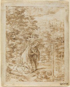 Maria Magdalena Biddend in de Wildernis