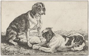 Twee honden