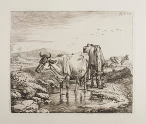  door Johann Adam Klein