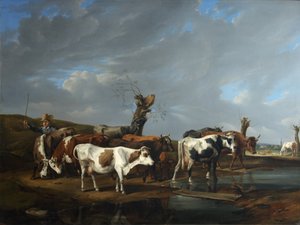 Kudde koeien