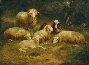 Schapen door Johann Baptist Hofner