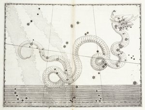 Constellatie van Serpens Caput en Serpens Cauda, ca. 1603