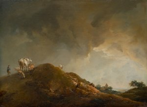 Heuvellandschap met koeien en schapen