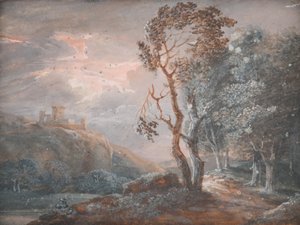 Landschap