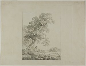 Landschap met een grote boom
