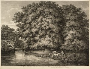 Een boer die zijn vee het water in drijft