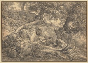 Helling met rotsblokken en olijfbomen in het park van de prinsen Chigi te Ariccia door Johann Christian Reinhart