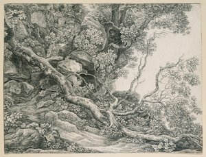  door Johann Christian Reinhart