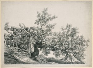 Boomstudie. Omgevallen stam met blootliggende wortels door Johann Christian Reinhart