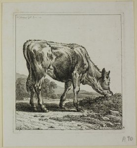 Kalf dat gevoed wordt, uit Die Zweite Thierfolge