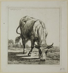 Koe drinkend, uit Die Zweite Thierfolge door Johann Christian Reinhart