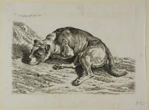 Liggende Hond, uit Die Zweite Thierfolge door Johann Christian Reinhart