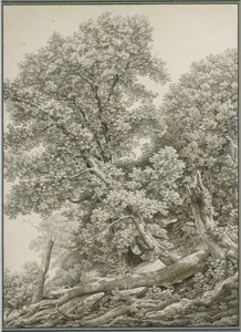  door Johann Christian Reinhart