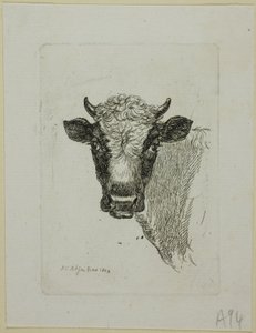 Hoofd van een jonge stier, uit Die Zweite Thierfolge door Johann Christian Reinhart