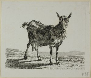 Staande Geit, uit Die Zweite Thierfolge door Johann Christian Reinhart
