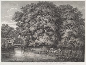 De Molen bij de Grote Eiken