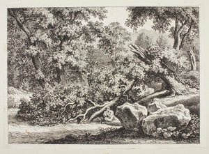  door Johann Christian Reinhart