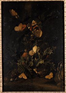 Bloemen met vlinders en pad door Johann Christian Thomas Winck