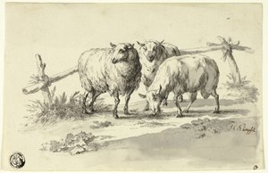 Schapen door Johann Christoph Kimpfel