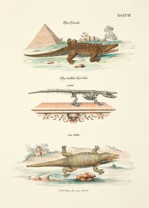  door Johann Daniel Meyer